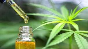 use of cbd oil for health